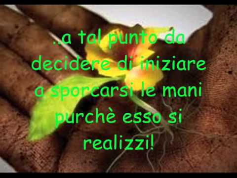 Diagnosi funzionale ernia intervertebrale Dolore alla schiena o sciatica ernia