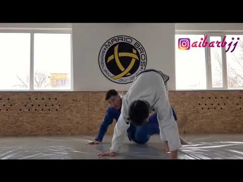 De La Riva to X-guard to Technical Stand up to Back take