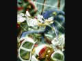 Sonic Vs Shadow Power Fight Power Battle