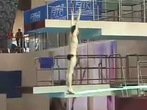 European Diving Championships 2007