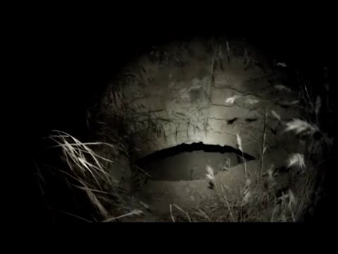 EXPLORING FORGOTTEN TUNNEL!