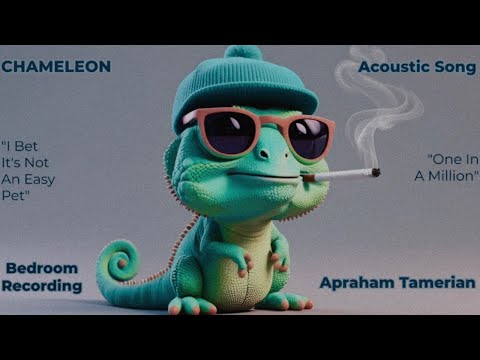 Apraham Tamerian - Chameleon (Bedroom Recording)