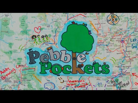 Introducing... Pebble Pockets!