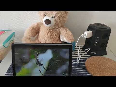 Tablette 10 Pouces, DUODUOGO Android 10 Tablettes Tactile, Très bon rapport qualité prix