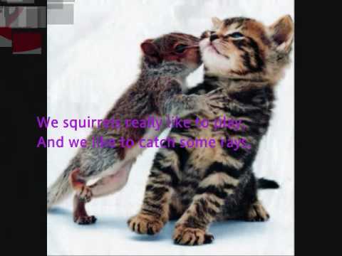 Squirrels! and Lyrics
