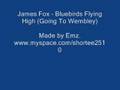 James Fox - Bluebirds Flying high