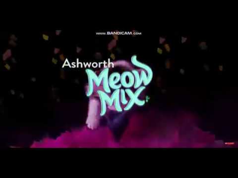 коты зажигают!!!!!!