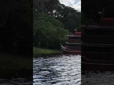 Novo Airão, barco hotel #viagem #amazonia #travel #aventura