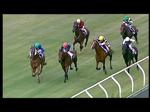 Napoli Galoppo 18/06/2021 - 2ª corsa