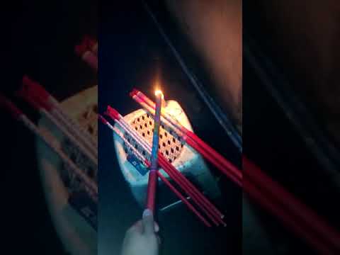 Lusis video