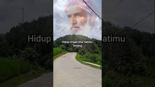 Download lagu life is easy when your heart is calm #lifemotivation #selfmotivation #wisewords #quotes #advicewords mp3