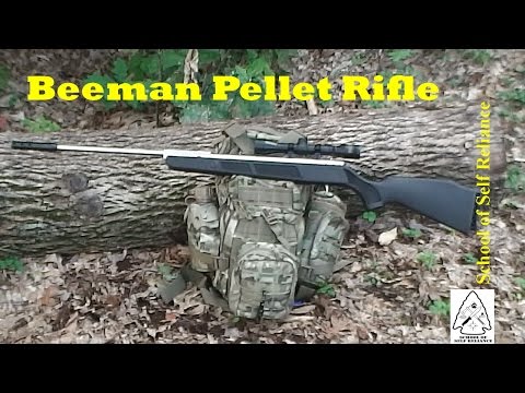 Beeman Pellet Rifle for Survival