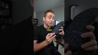 The ONLY Wrestling Shoe of It&#39;s Kind