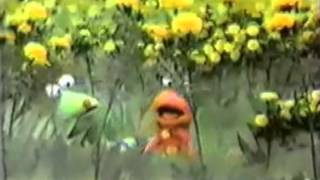 Sesamstraße - Tausendfuss - Raupe und Käfer