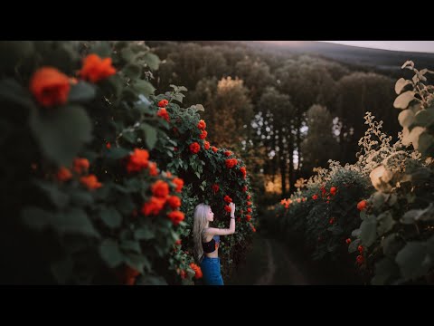 REVOLUTION - CL X DIPLO + MTBD V - S