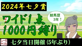 【2024年七夕賞】診断書プロトタイプ完成！【しーらch】