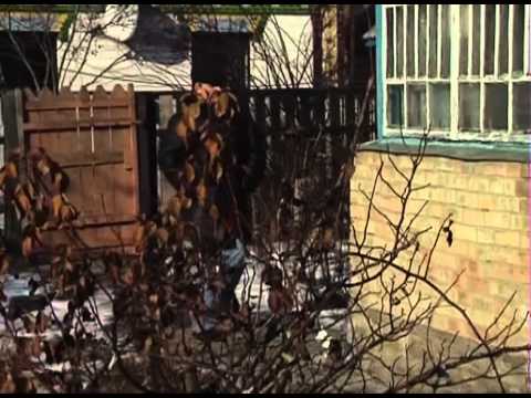 Санта Барбара - Чужие ошибки - Часть 1