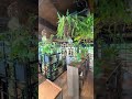 古材家具ブランド♻️パレットハウスジャパン　ヒカルオーキッドオフィス