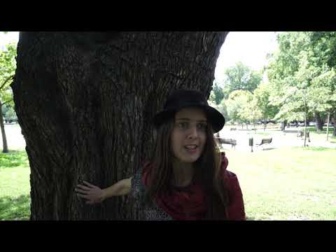 TzK Razgovori Slađana Bušić