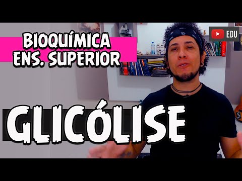 Metabolismo Energético - Glicólise  | Curso Bioquímica Ens. Superior (AULA 11)