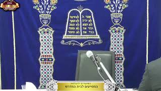 בית המדרש "תורת דוד" ¤ שידור חי ¤ כ"ד טבת תשפ"ו (13.1.2026) (מוסדות תורת דוד) - התמונה מוצגת ישירות מתוך אתר האינטרנט יוטיוב. זכויות היוצרים בתמונה שייכות ליוצרה. קישור קרדיט למקור התוכן נמצא בתוך דף הסרטון