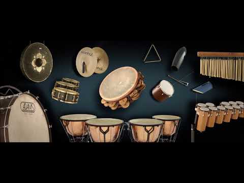 Free Sample Packs | Essential Conga Loops Vol.1 | BPM 125