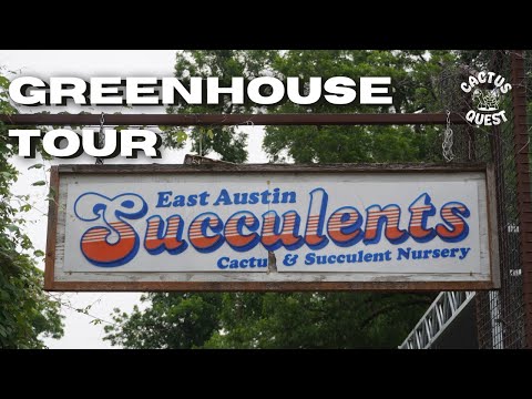 Galavanting around East Austin succulents w/@CrimePaysButBotanyDoesnt & the origin story of GLORP