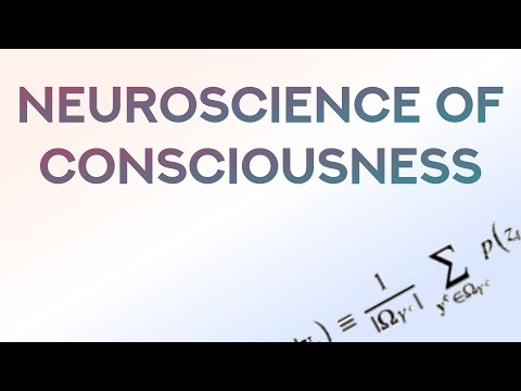 Neuroscience of Consciousness in 2022