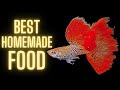 Guppy Fish Care Best Homemade Guppy Food DIY Fish Food