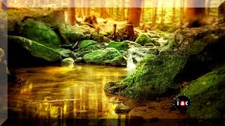 Green Hills  - Ten Towers