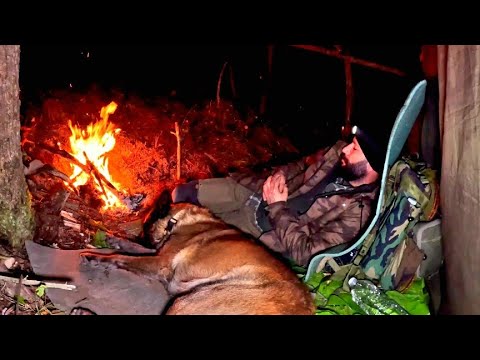 In the Heart of the Woods: Man and Dog Under the Stars"
