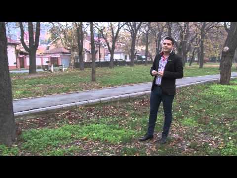 Alex de la Oradea - bat-o focu strainatatea