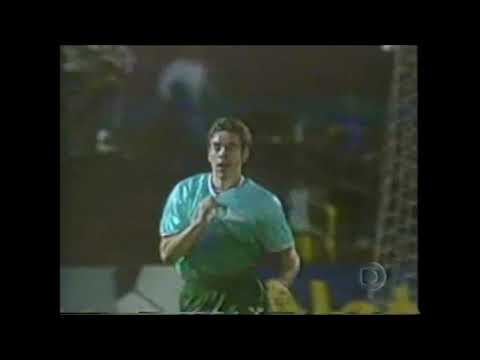 Palmeiras 2 x 0 Independiente - Copa Mercosul 2000
