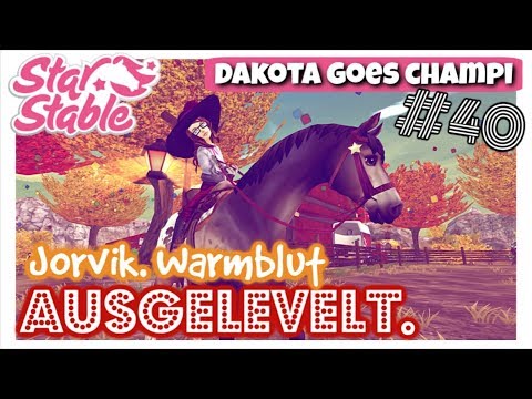 Star Stable [SSO]: Jorvik Warmblut AUSGELEVELT in Goldenhills | DAKOTA GOES CHAMPI #40 [DEUTSCH]