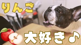 りんご貰ったのでみんなで食べてみたよ
