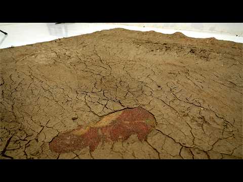 $18,000 Luxury Rug Left in Mud — The Restoration No One Expected | Carpet Cleaning ASMR