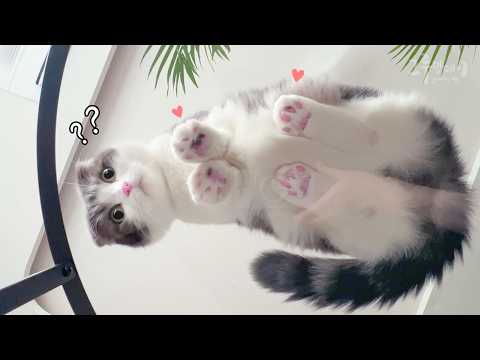 YouTube 썸네일
