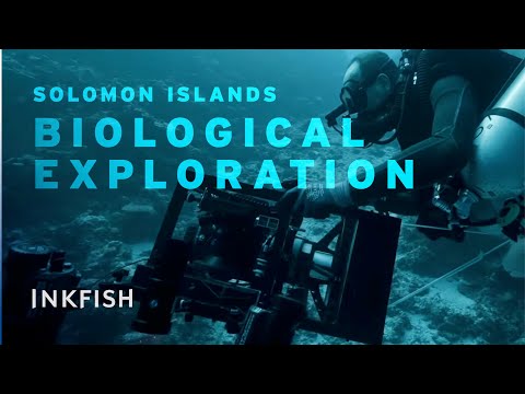 Expedition Solomon Islands – Leg 3 | Mesophotic Photogrammetary & Genetic Sampling