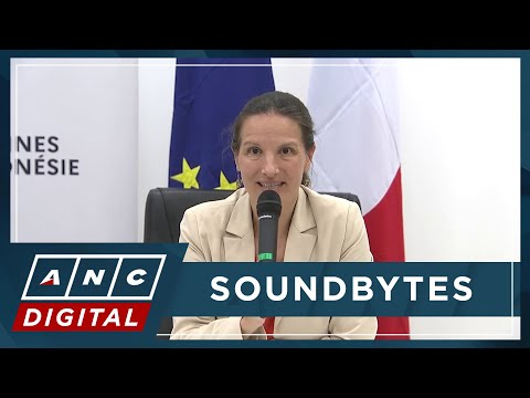 WATCH: French Envoys hold press conference discussing France's partnership with PH ANC