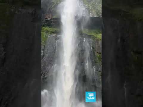 #TurismoEnLinea Esta hermosa cascada❤️🤩😍 está ubicada en Venecia #Cundinamarca. #nature #naturaleza