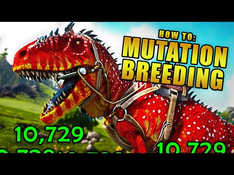 INSANE Mutation Breeding Guide | ARK: Survival Evolved