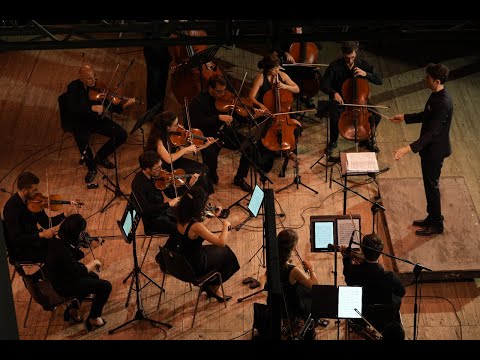 Robert Fuchs: Serenade n. 3 in e minor (Orfeo, Famà)