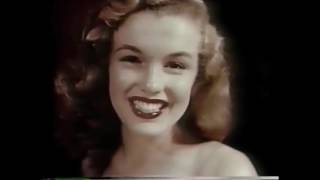 CELLS - California - Official Music Video