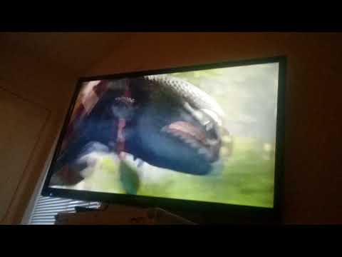 The Ring And toothless vs hookfang