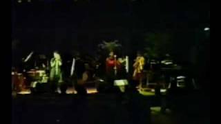 From the lonely afternoon FloraPurim cover