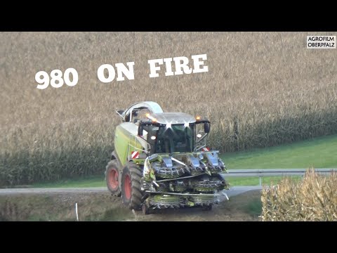980 on Fire #4 - Der King im Mais - Häckseln nonstop von früh bis spät -LU Spitzner-Claas Jaguar 980