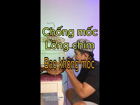 CHỐNG MỐC LỒNG CHIM