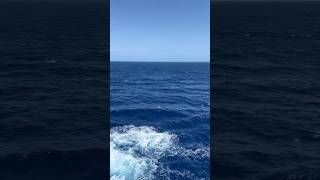 CRUISE LIFE HAD ME FORGETTING REALITIES EVEN EXISTED?! #shorts #jalanjalan #travel #travelvlog