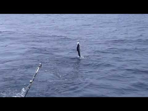 The Drone Guy 4U, Inc video.