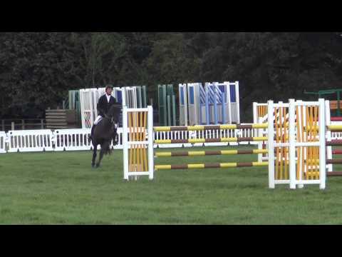 Severly Hille (Cabdula Du Tillard x Narcos) 2006 Geld